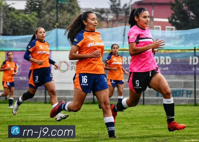 J9.COM官网平台生态图